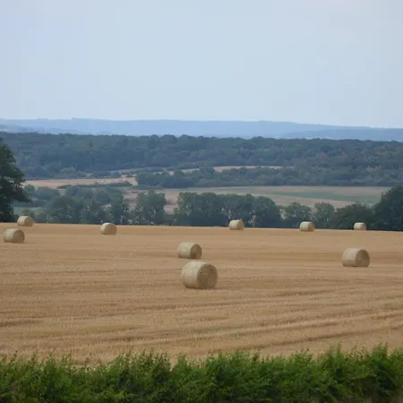 펜션 Vue D'en 더뷔